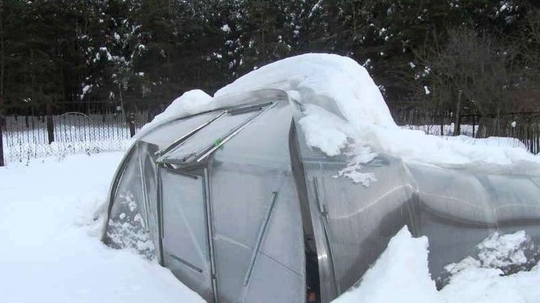 ��� �������� ��������������� ������� �� 15 �����: ������� � ����������� �������