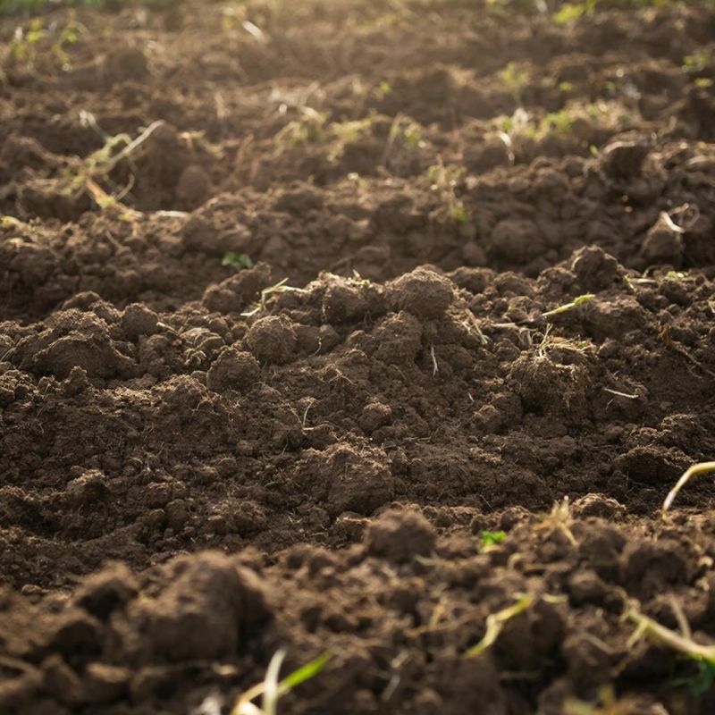 ��� ������������� ������ ����� � ����������� ����� ��� ����������� �������