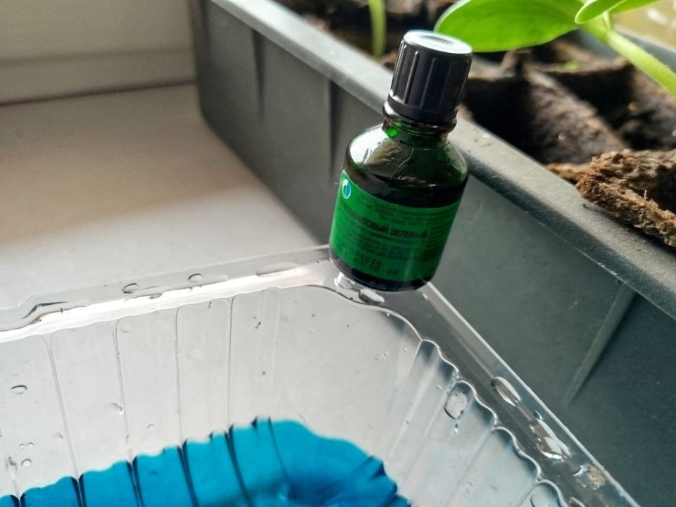 ����������� ����������� �������: ��� ������������ �� �� ����