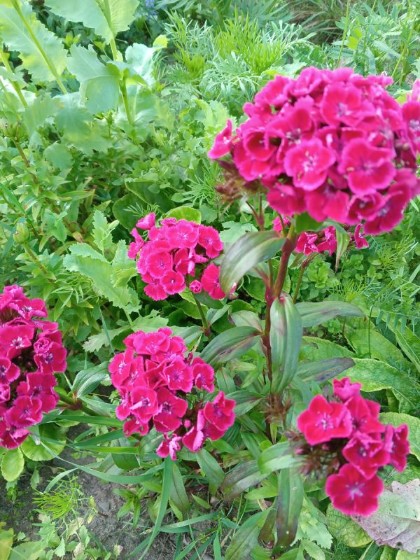 �������� ����������� � �� �������� ������: ��� �� ���� ����������� ���������� ������������