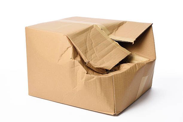 ��� ������� ����� � ������������� �������������: ����� ������������ � 2026 ����