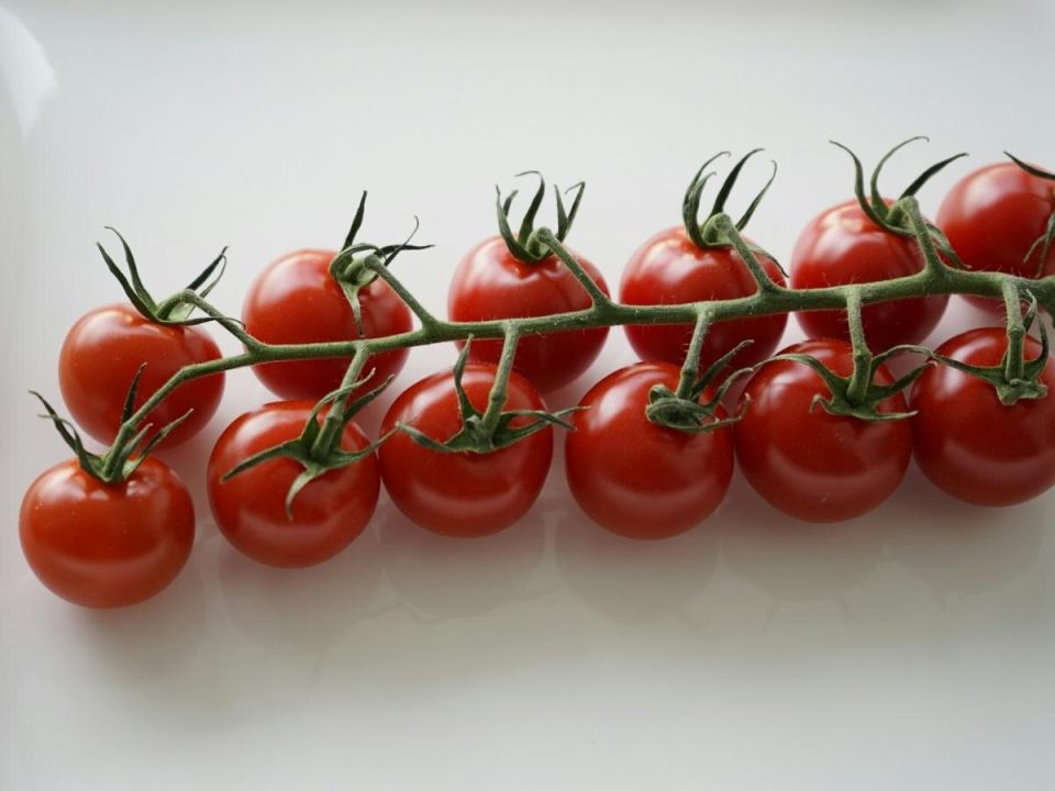 ������: ������������, � ������� ����� �����