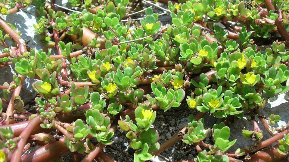 ��������: ��������� ���� � ����� ������, ������� ����� ����������