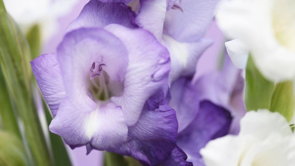 ������� � ����� ���������� ����� ������ ��� �����: ���������� � ������� ����-���������