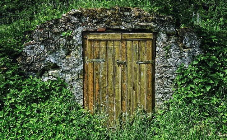 Где хранить редьку, чтобы она не пропала за пару месяцев: хозяйкам на заметку