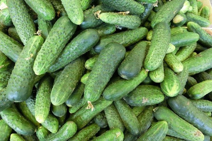 ��� ����������� ��������� ������ � �������� ��������