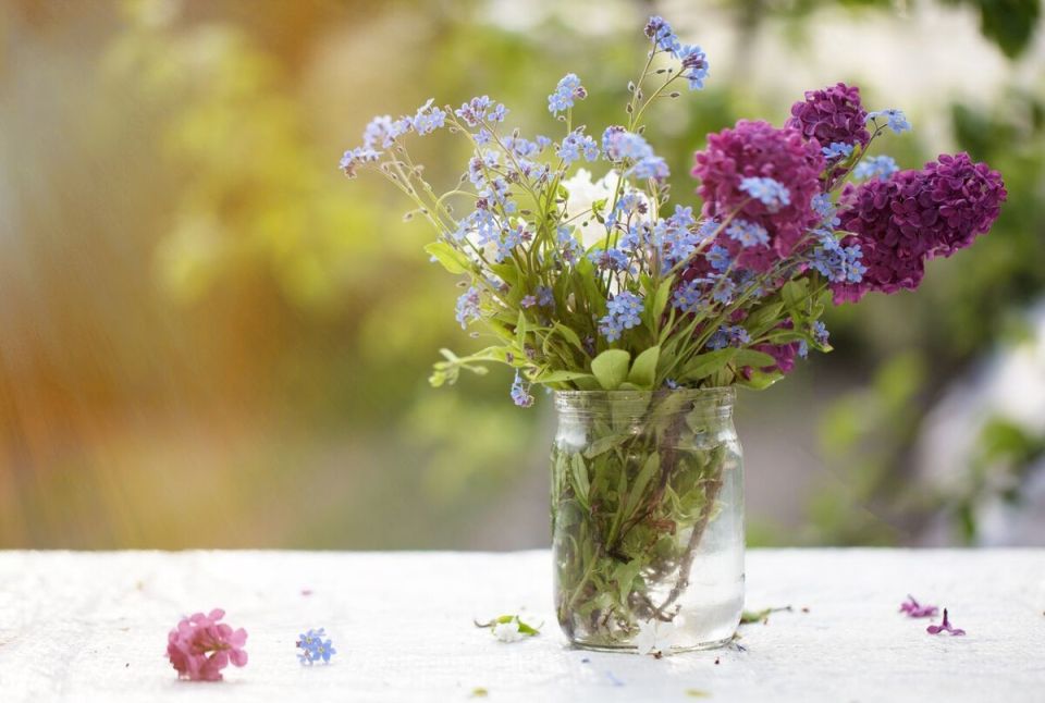 ��������� ���� ��� ����� �������: ������������ ���� ��� ������ ������