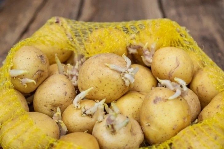 ��� ��������� ��������� ������ �� �����