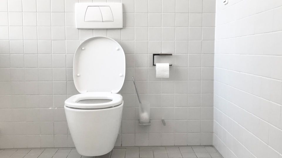 � ������� ����� ������� ��� � ���������: �������� ������� ���������� �� �����