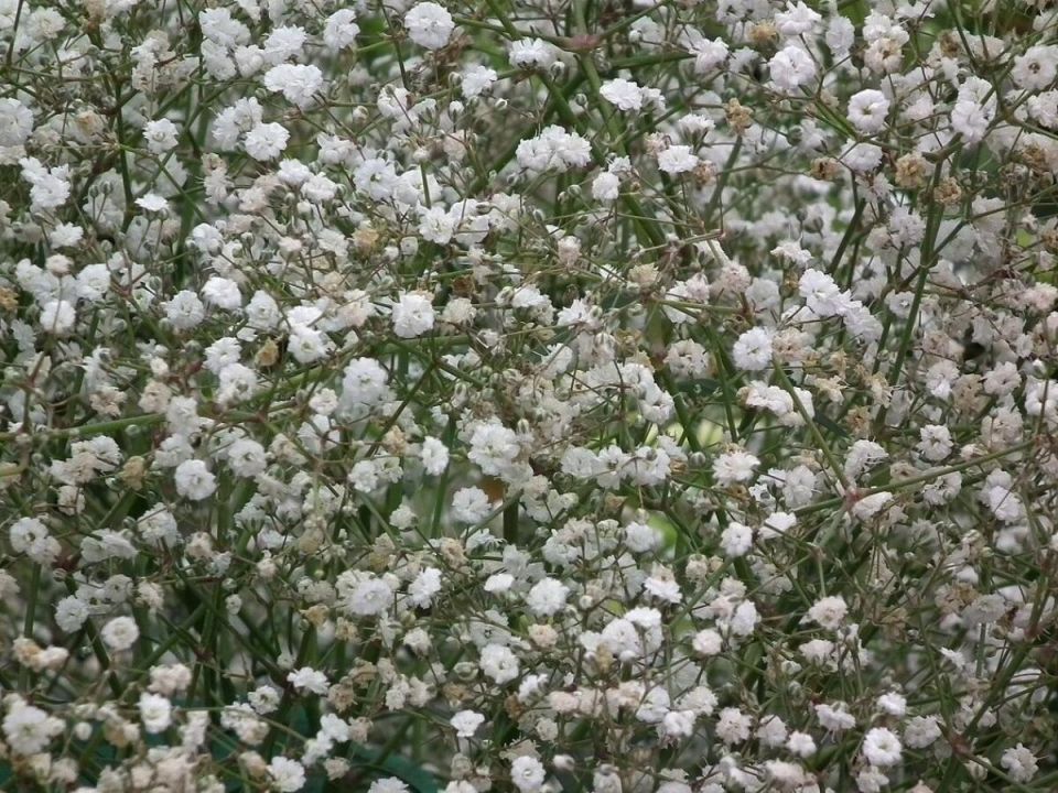 ���������: ����������� ��� � ���� ����������