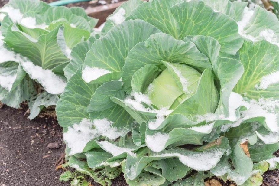 ����� ��� ����: ������� ������ ������� ��� ������� ������