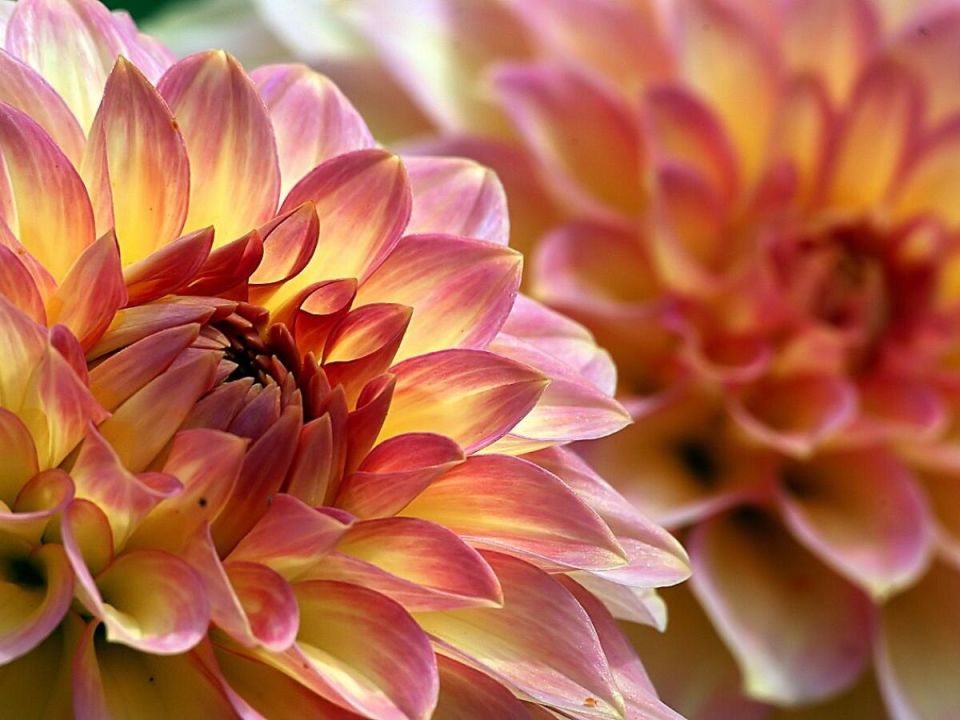 �������� � ������ ������: ��� ����� �����?