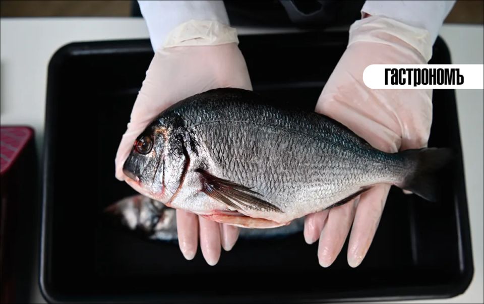 ��� ���������� ����������� ����: ������ �� ������ �����������, ������������ � ������� ���������