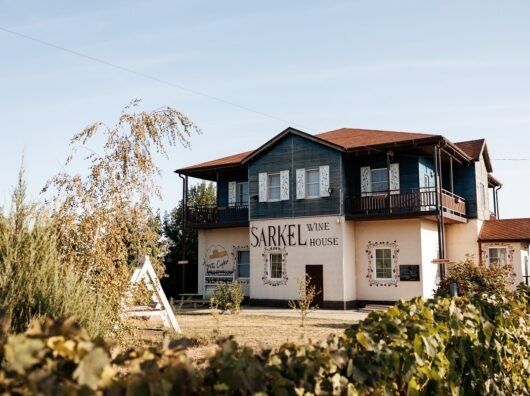 На Дону растёт интерес к винодельческим агротуристическим маршрутам и событийному туризму