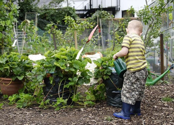 ��� ������� ��������� ������� ��� �������