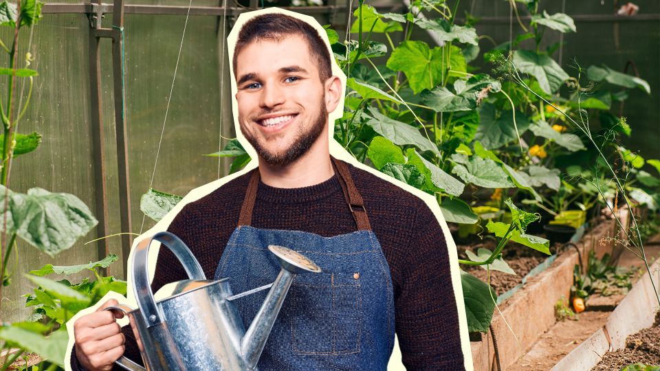 ��� �������� ������ � ������� ������: �������� ���� ������