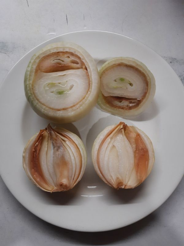 Внутри луковицы коричневые, гнилые чешуи. Что с ними случилось?