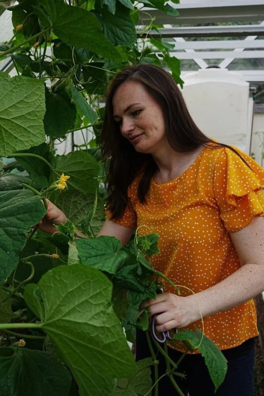 ��� ����������� ������: ������� �������� � ��������� ������