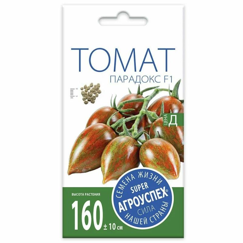 ������ ������ ���������: ������������ ����������� ������� ����� 2026