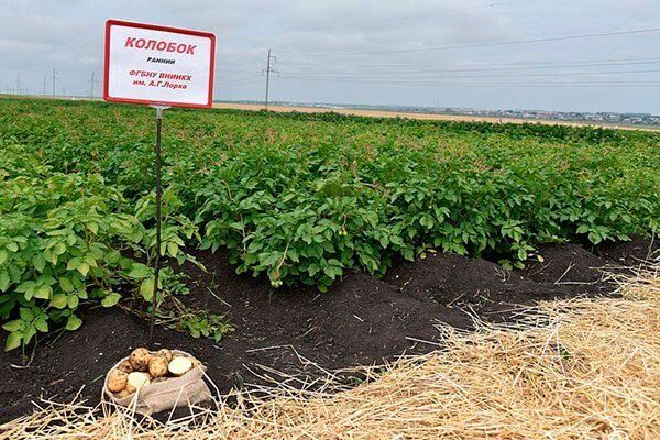 ����������� �������������� � ����������� ����� ��������� �������