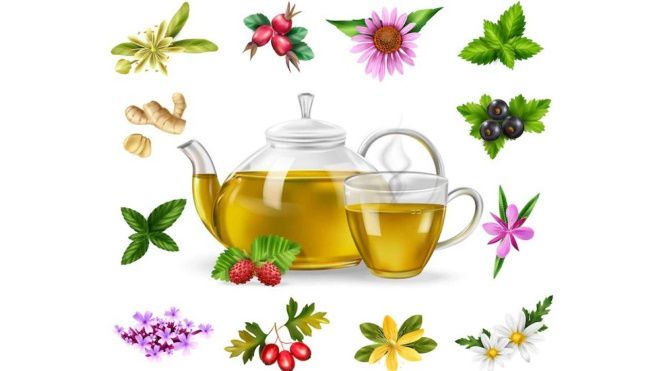 �������� ���: ��� ������� � ����� ������������ �� ��������