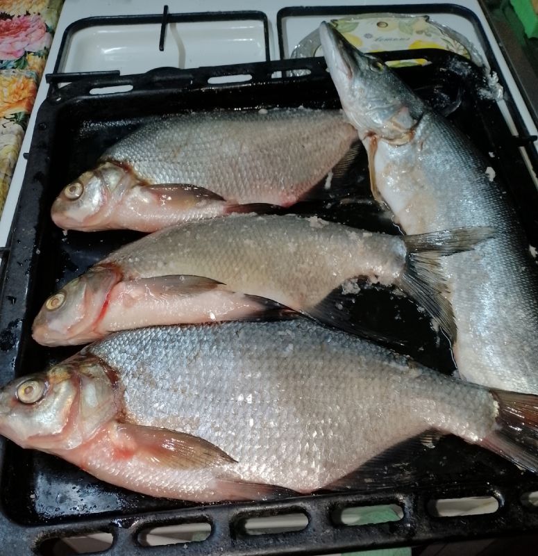 Как приготовить леща горячего копчения: секреты и советы