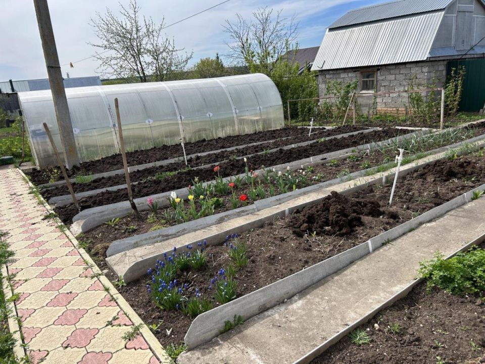 Как заменить навоз: секреты бабушек для здорового урожая