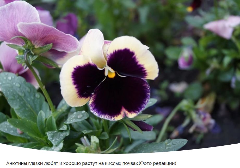 ��� ���������� ����������� ����� � ��� � ���� ������