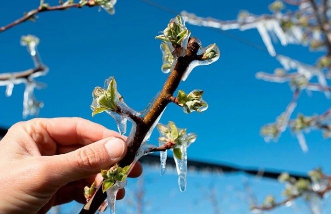 ������ ���������� ��� ����������: ��� �� ��������� ���������