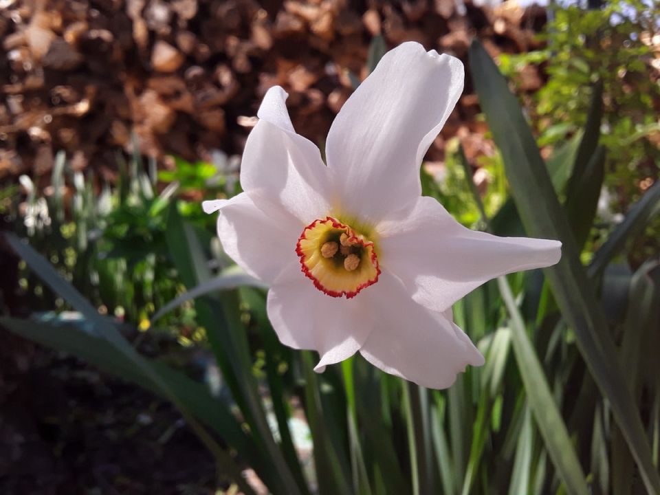 ��������� �������� � ����������� ����: ��� ����� ������ �������� ������