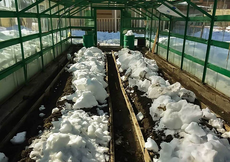 ������ ������� ����� �� ��������: ���� ��� ��������� ������