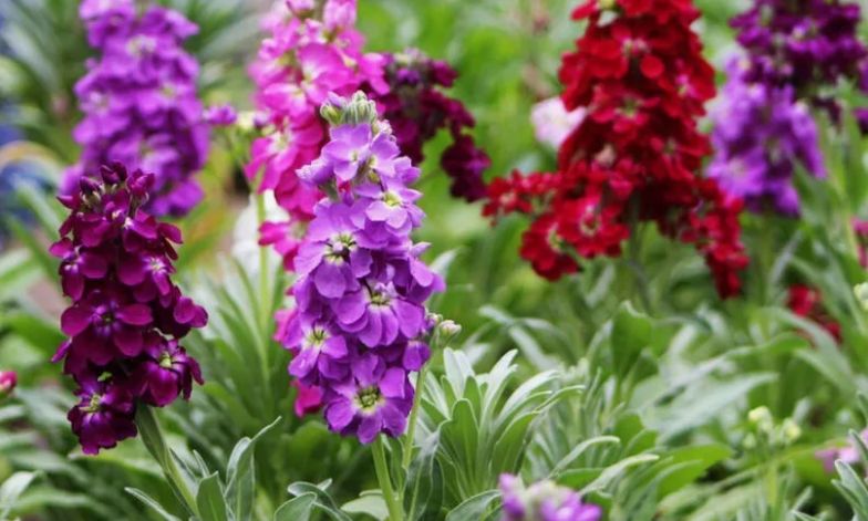 ������: ���������� ���� � ��������������� ��������