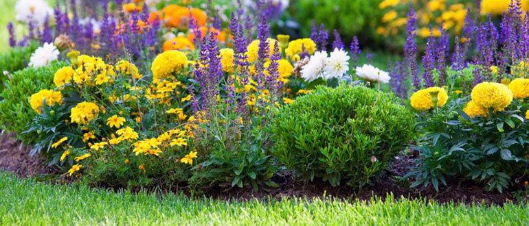 ��� ������� ��������� �������: ��� ������� ���� ��� ������ ����