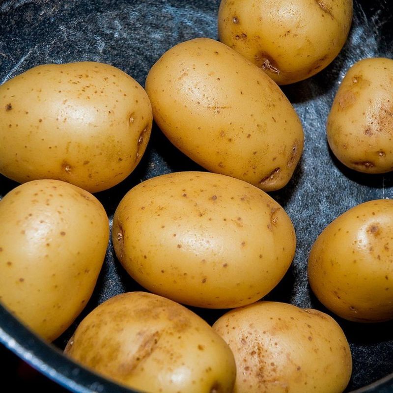 ��� ��������� ��������� � ������� �� 12 �� � �����: ����������� � ������ '��������'