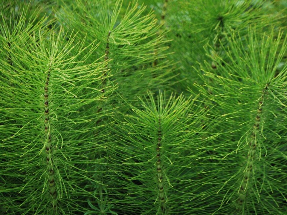 ������ � ����: ������������ �������� � ������ � ������ �� ����