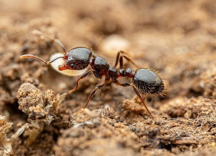 ������ �� ������: ����������� ������� � ������ � ���������