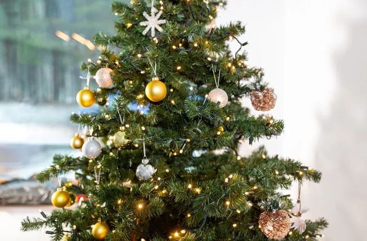 ��� ����������� ������������� ���� � ���������: ������ �� �����