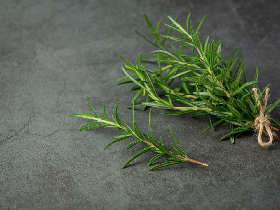 �������� � ����: ������� ��� ��������� ����������� ��������� �����