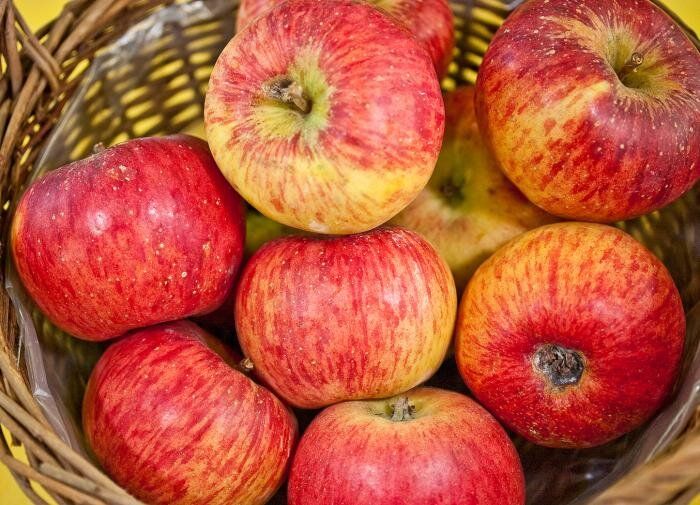 ����������� �����: ������� ��������� ������