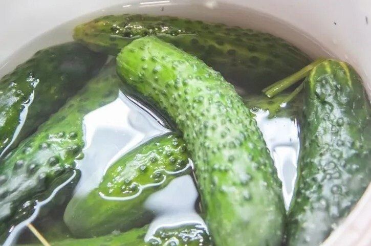 Как вернуть жизнь увядшим огурцам