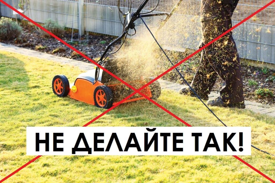 ������ ������������� ������ ����� ��������� �������� �����