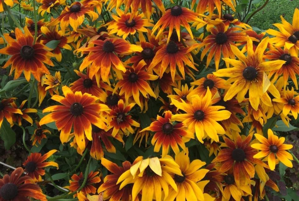 ��� ������� ������� ����� ����������� � �������� �� ��������