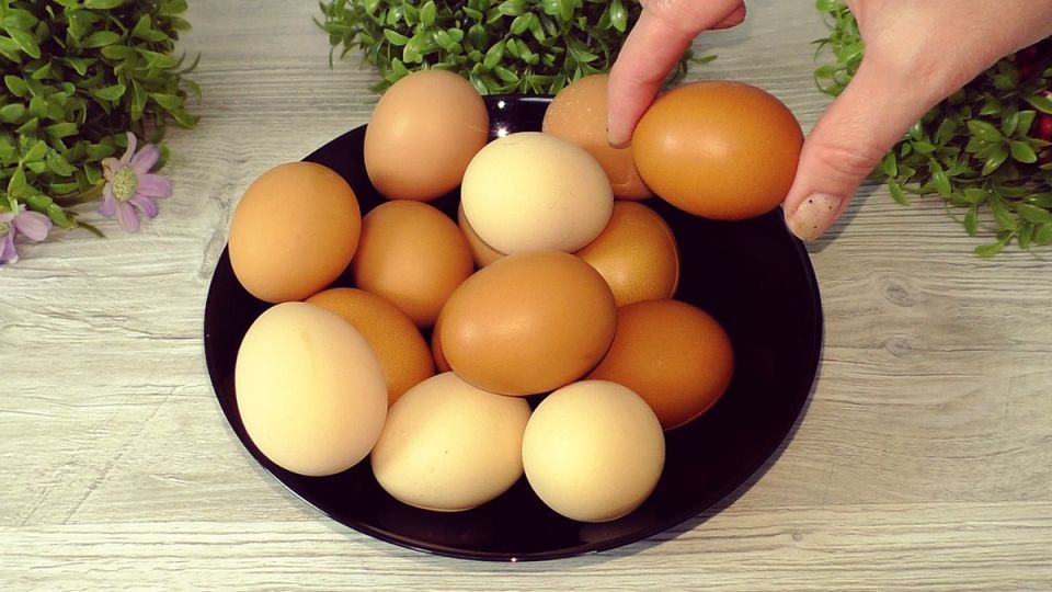 ��� ����� �������� ������ ������ ����: ������� �����, ������� ��������