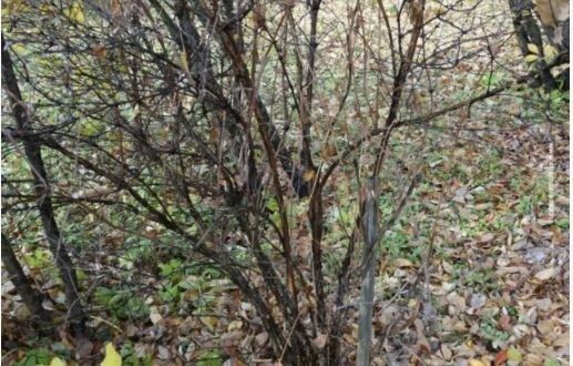 ������� ��������� ������: ��� �������� ������ � �������� �������� �����