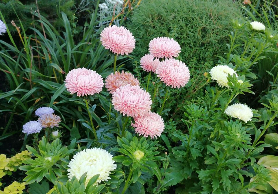 ��� ��������� �����: �� ����� �� ��������