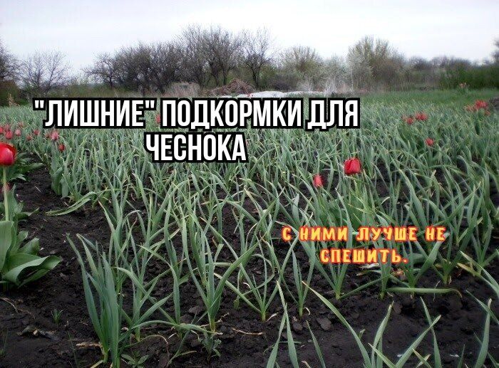 ������ �������� �������� ��������� ������������� ������ ������