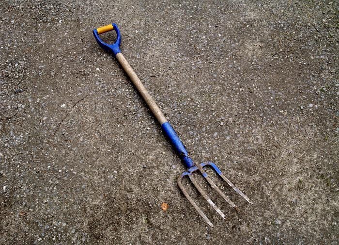 ��� ��������� ������� ���� ��� ���� � �������