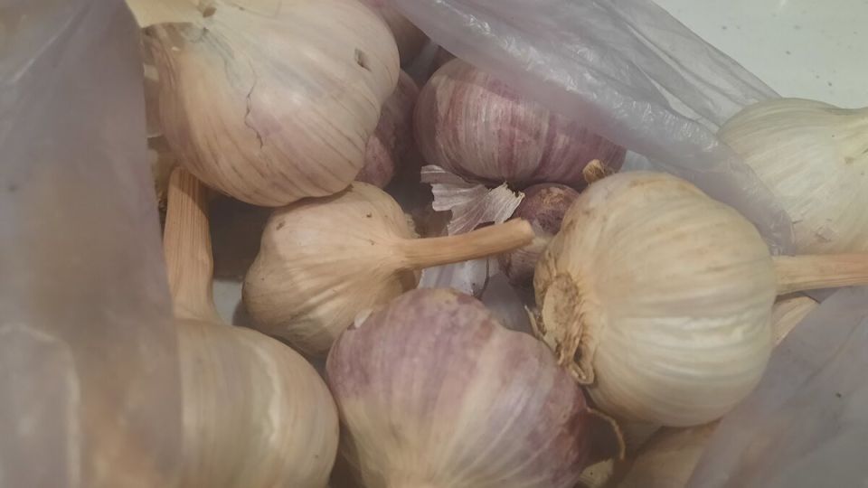 ��� ������ ������� ��� ������ �� �����: ������� ������� �����������